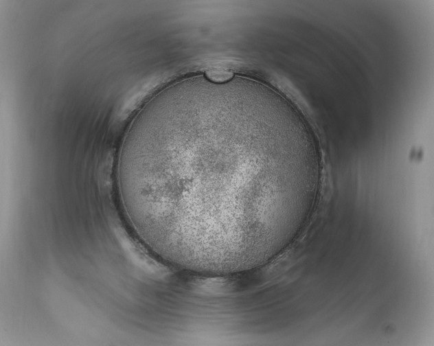 X0000111780058200907301131