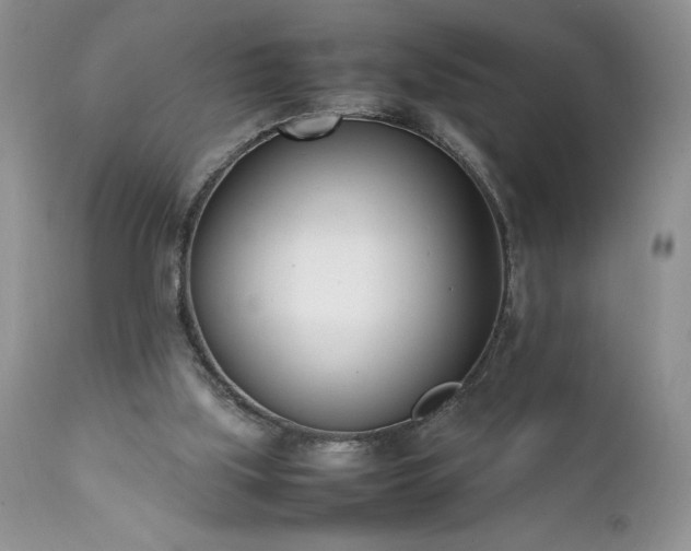 X0000111780059200907301131