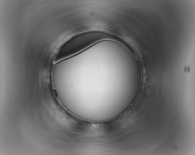 X0000111780060200907301131