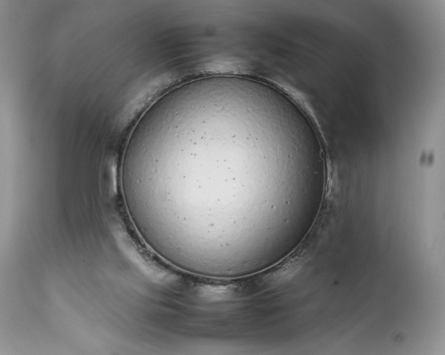 X0000111780061200907301131