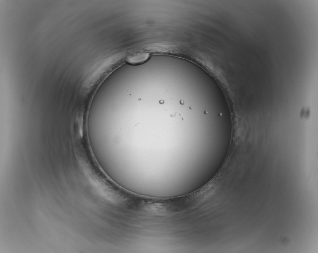 X0000111780062200907301131