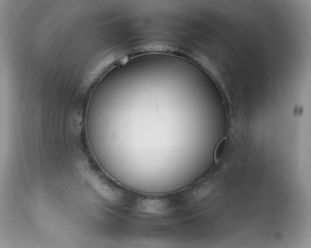 X0000111780063200907301131