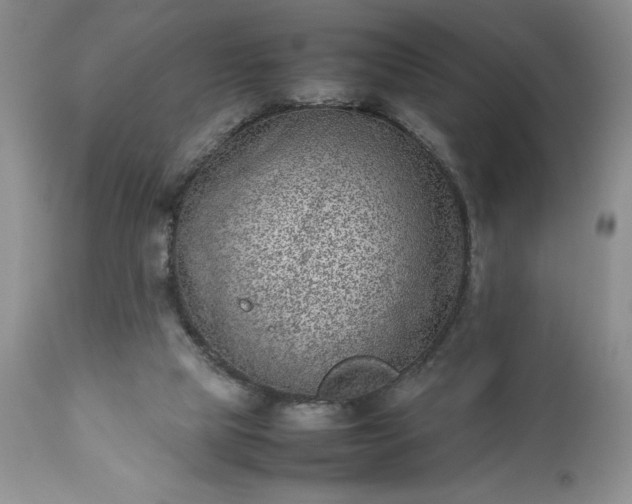 X0000111780065200907301131