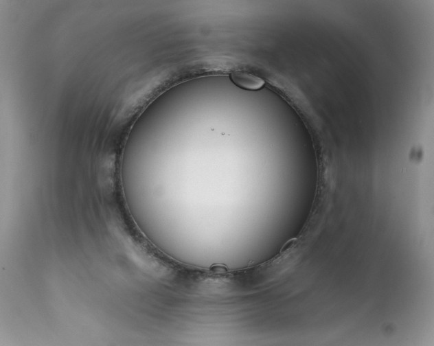 X0000111780066200907301131