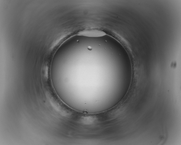 X0000111780067200907301131