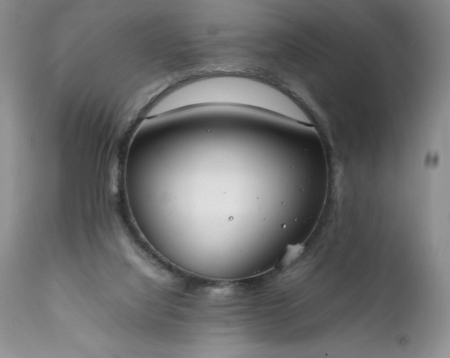 X0000111780068200907301131
