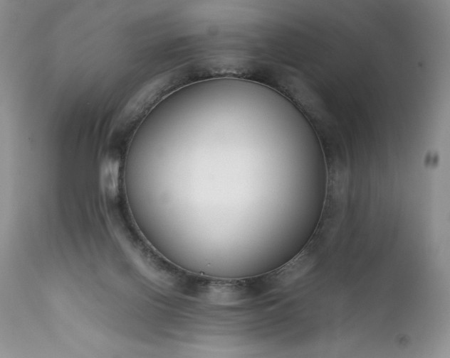 X0000111780070200907301131