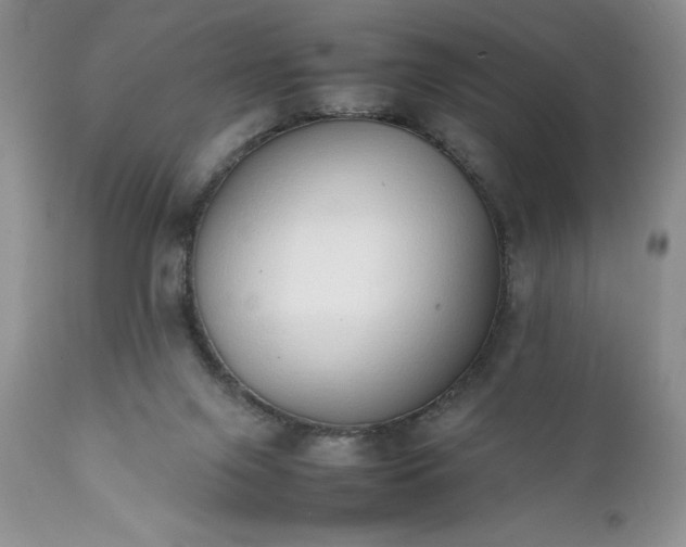 X0000111780071200907301132