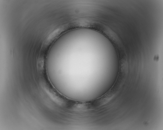 X0000111780072200907301132