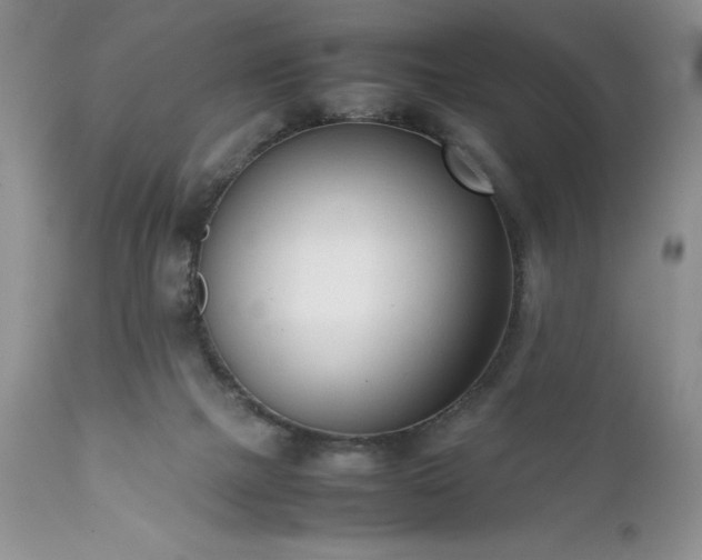 X0000111780073200907301132