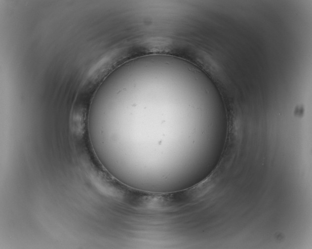 X0000111780074200907301132