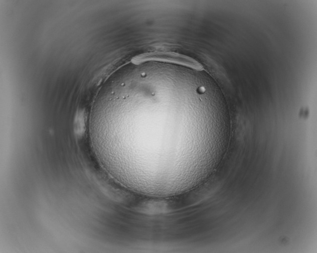 X0000111780075200907301132