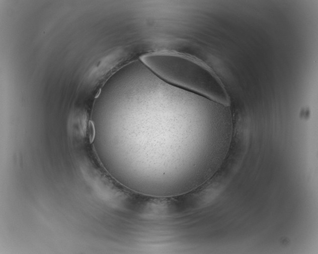 X0000111780076200907301132