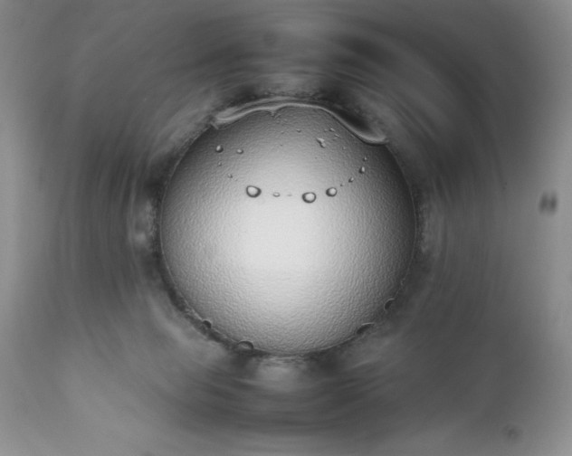 X0000111780077200907301132