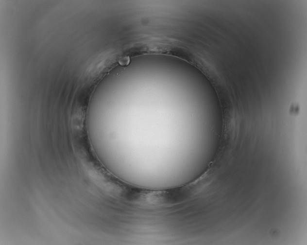 X0000111780078200907301132