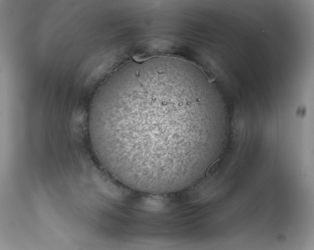 X0000111780079200907301132
