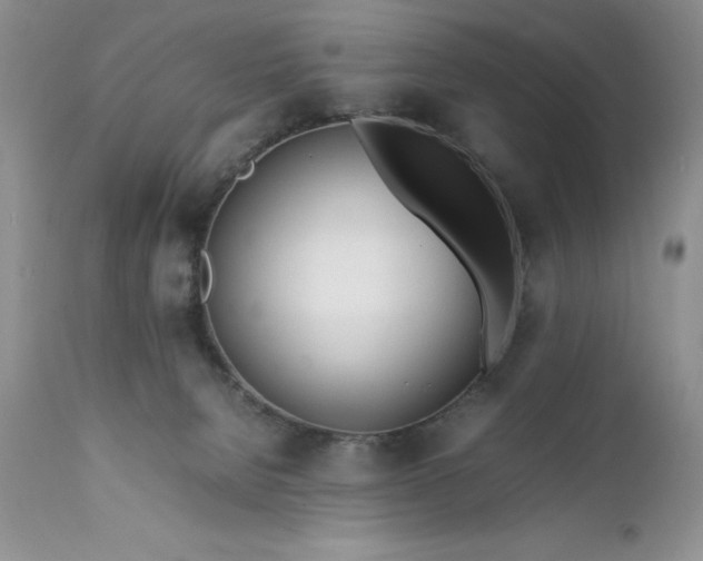 X0000111780080200907301132