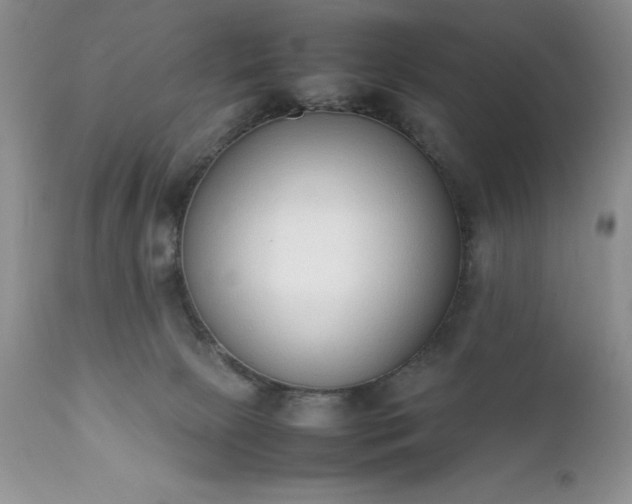 X0000111780081200907301132