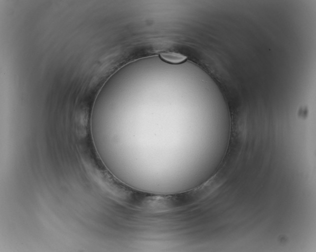 X0000111780082200907301132