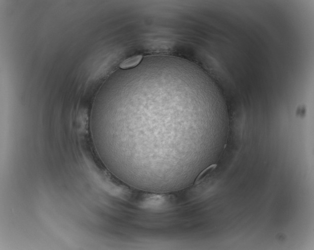 X0000111780083200907301132