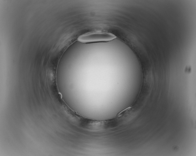 X0000111780084200907301132