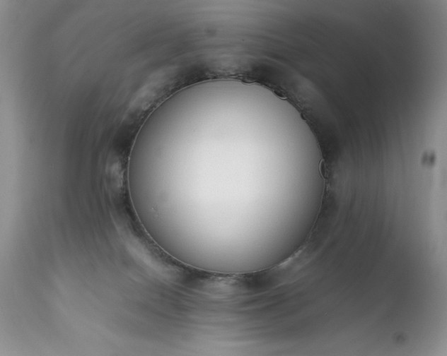 X0000111780086200907301132