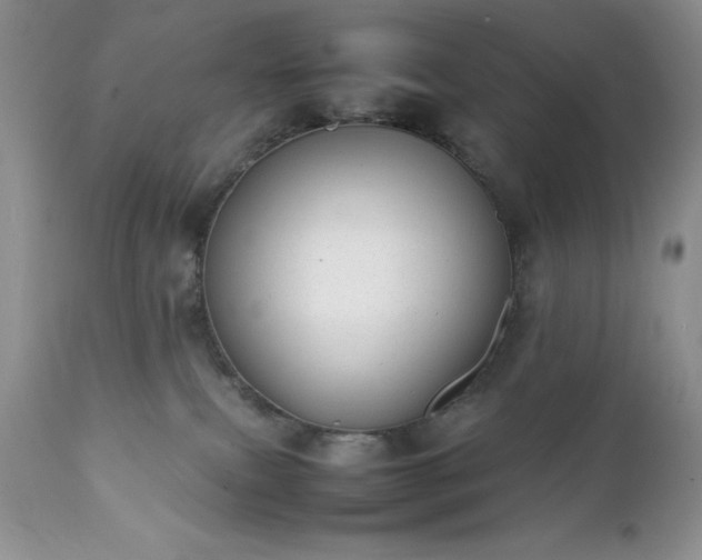 X0000111780087200907301132