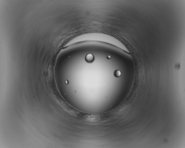 X0000111780088200907301132