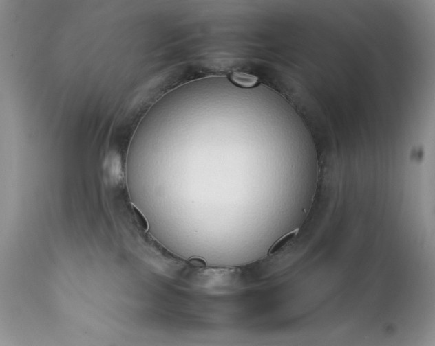 X0000111780089200907301132