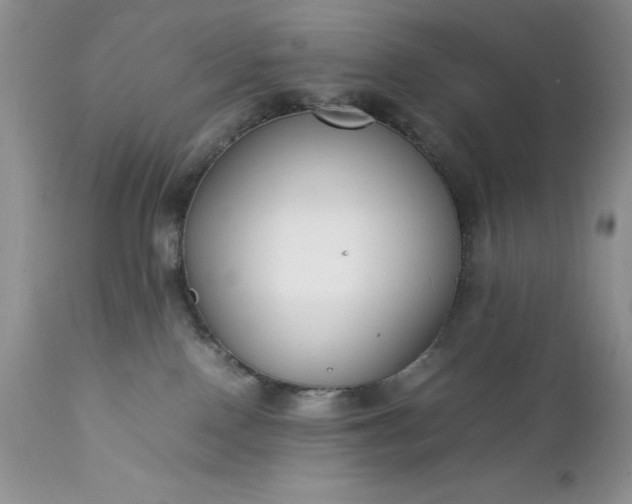 X0000111780090200907301132