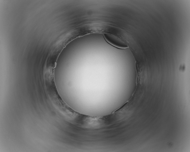 X0000111780093200907301132