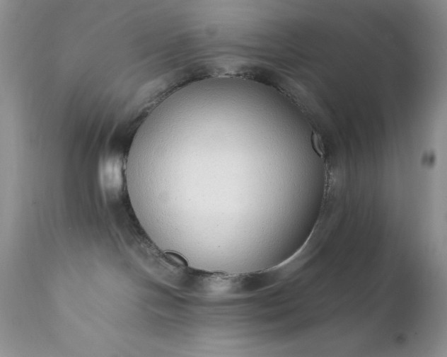 X0000111780094200907301132