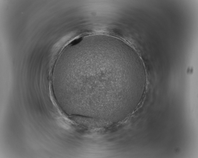 X0000111780097200907301131