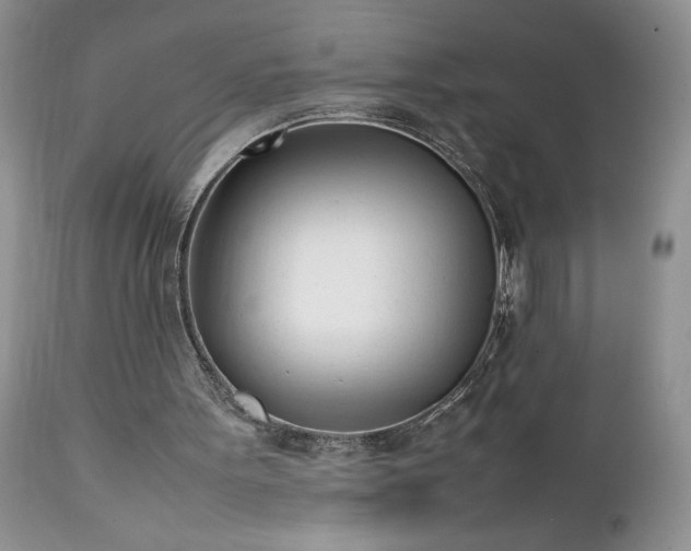 X0000111780099200907301131
