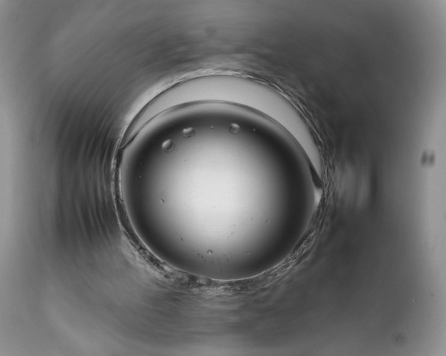 X0000111780100200907301131