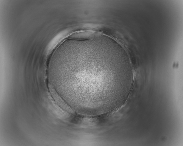 X0000111780101200907301131