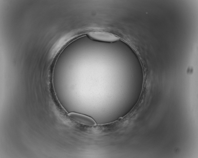 X0000111780103200907301131