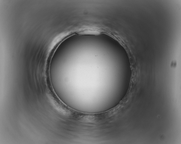 X0000111780104200907301131