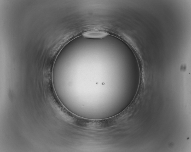 X0000111780105200907301131