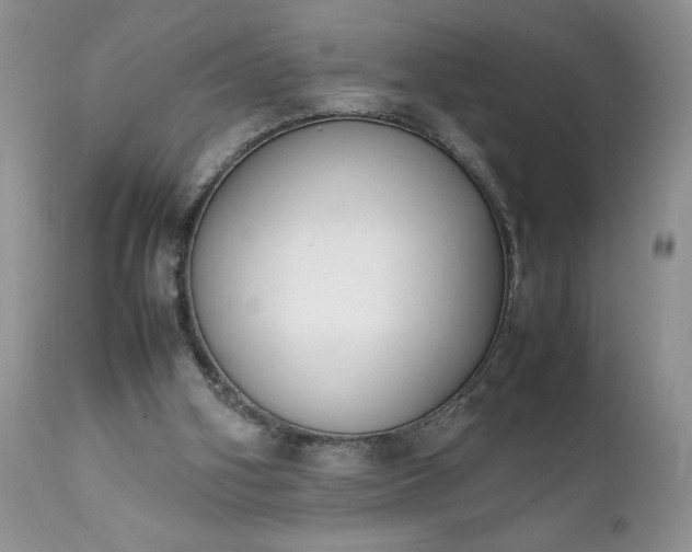 X0000111780106200907301131