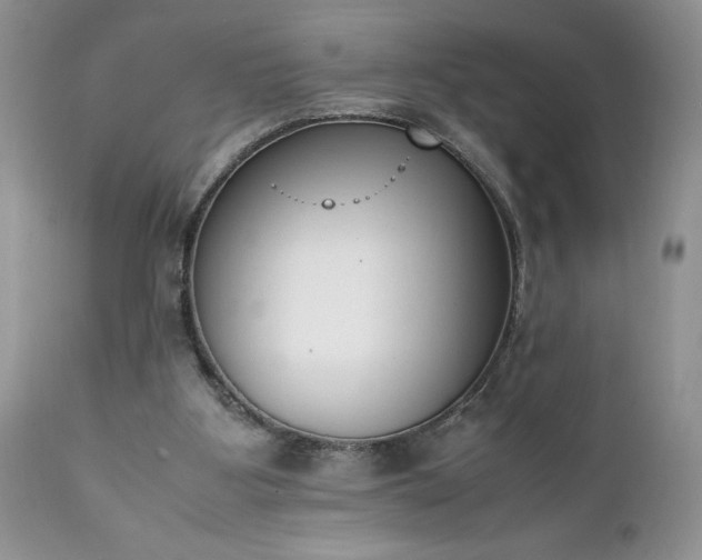 X0000111780107200907301131