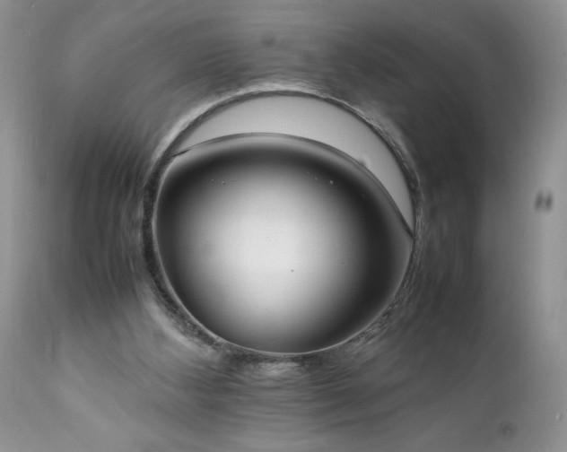 X0000111780108200907301131