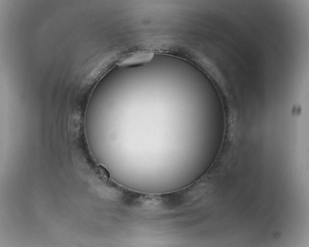X0000111780113200907301131
