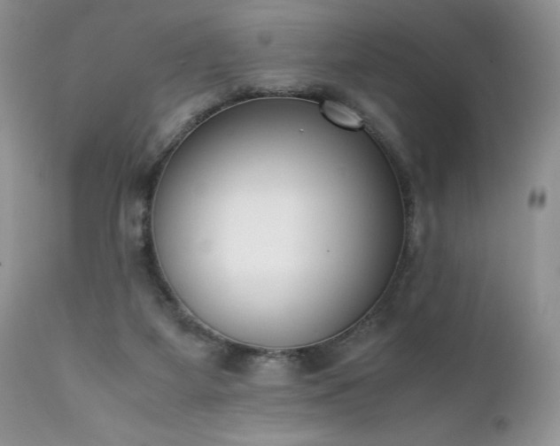 X0000111780115200907301131