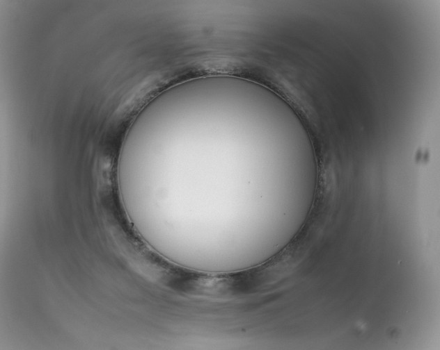 X0000111780117200907301131