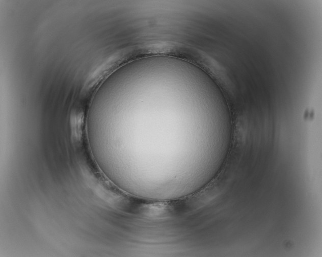X0000111780118200907301131