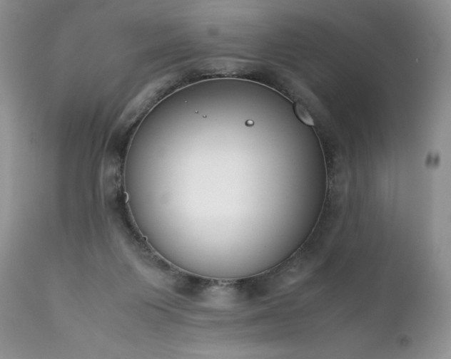 X0000111780119200907301131
