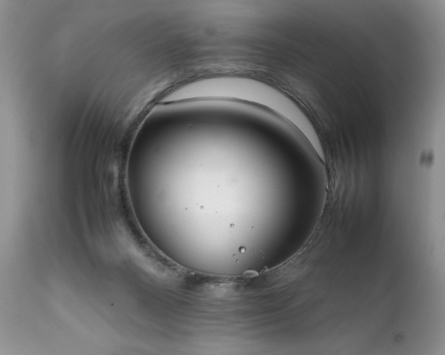 X0000111780120200907301131