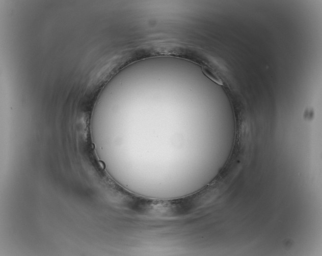 X0000111780121200907301131