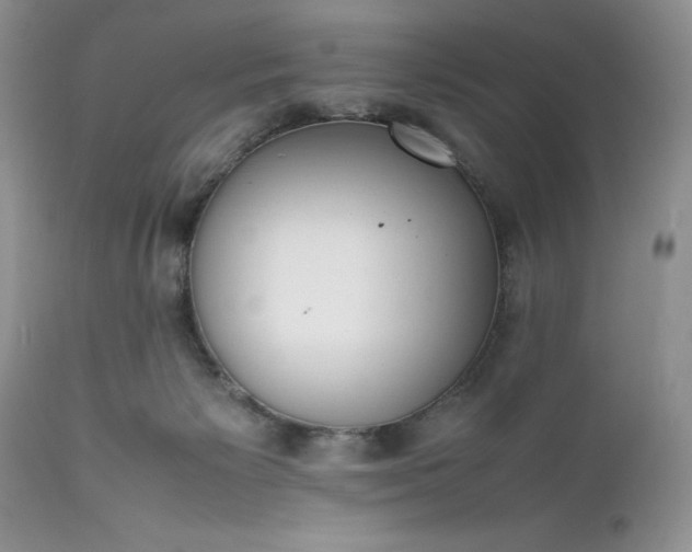 X0000111780125200907301131